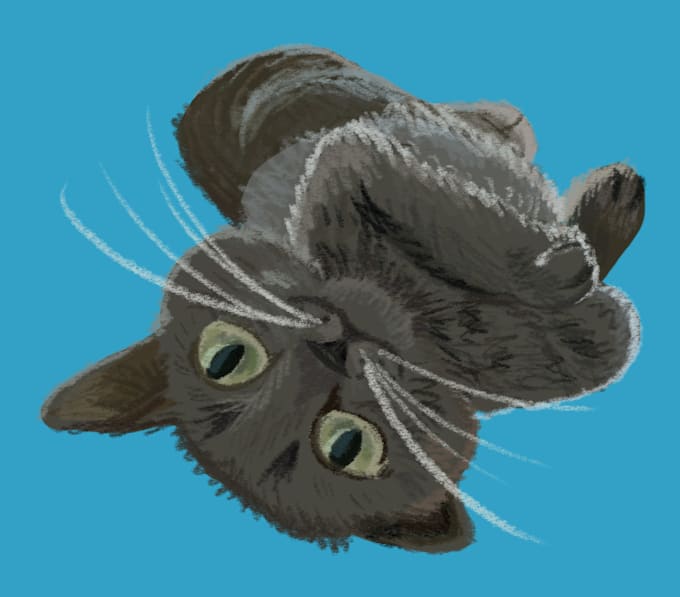 draw your cats portrait in a hand drawn adorable style