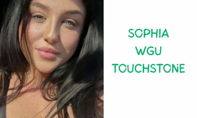 help with sophia learning, wgu and essays