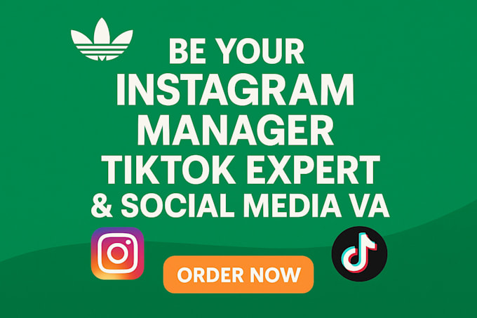 Be your instagram manager , tiktok expert and social media va by ...