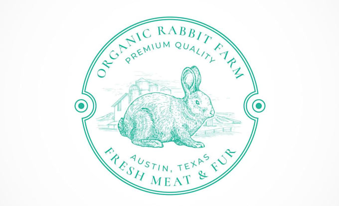 create an eye catching rabbit logo design