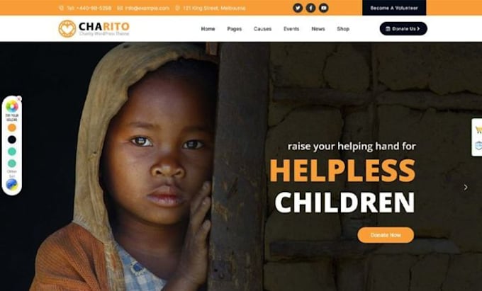 nonprofit, charity, ngo, 501c3, donation, non profit website on wordpress, wix