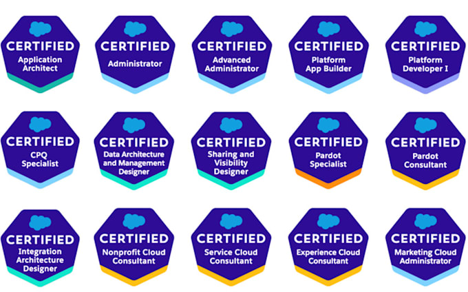 help a pass salesforce professional certification