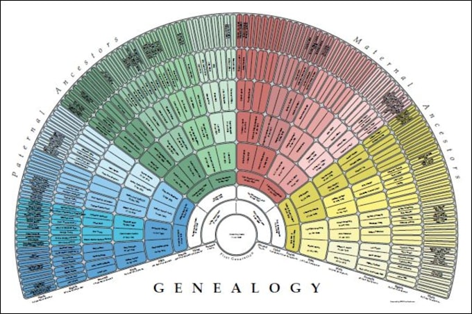 research your family tree