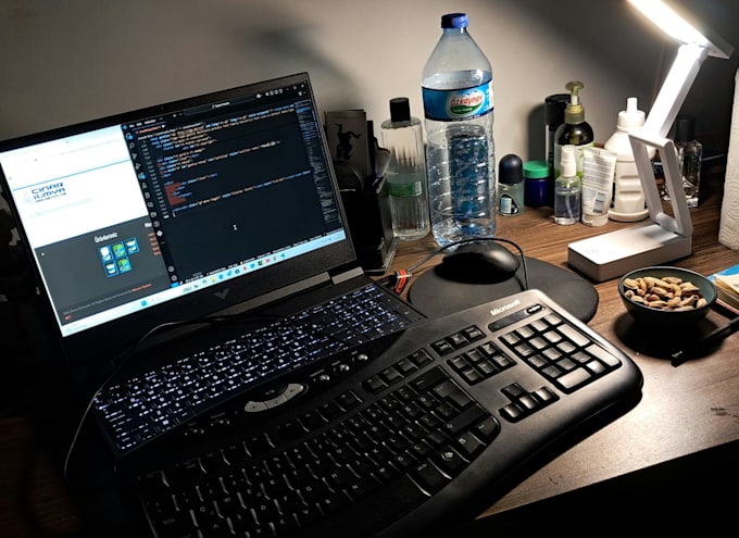 do fastly, developed and secure programmes
