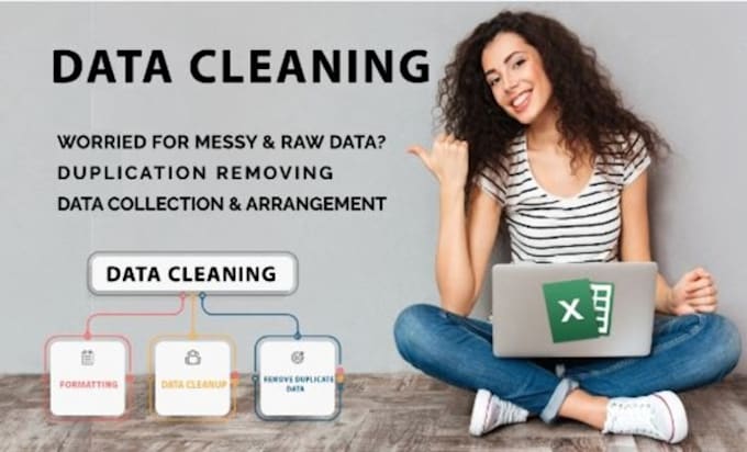 professionally clean and organize your data in excel or CSV