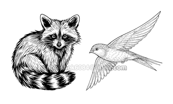 sketch your pet or animal