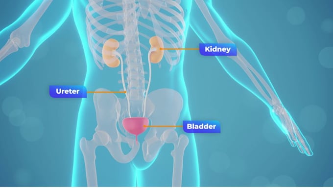 do 2d 3d medical, surgical, and healthcare animations with device and animation