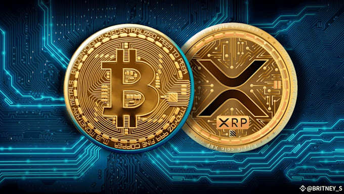 p2p website, dex, ohm fork, defi staking, memecoin platform, stablecoin,nft mint
