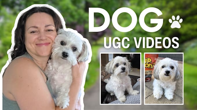 create ugc pet videos for dog products