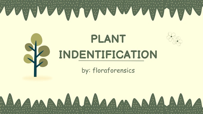 identify the plants you provide and write their morphological characteristic