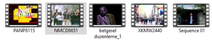 provide beginner friendly and affordable video editing