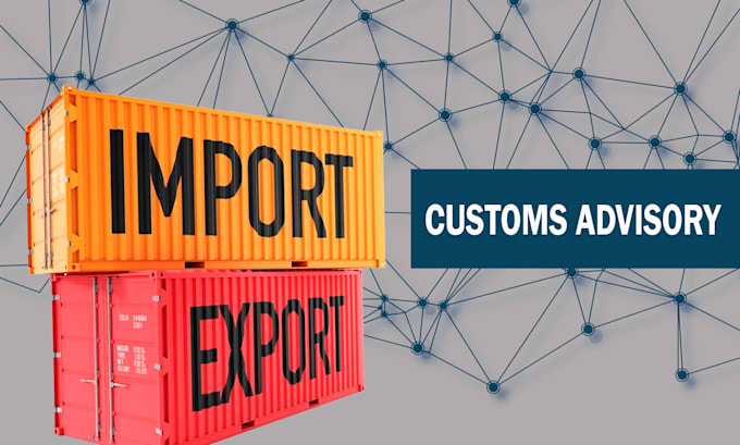 help you with customs import, export process consulting