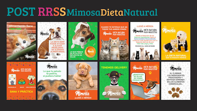 design social posts banners graphics design