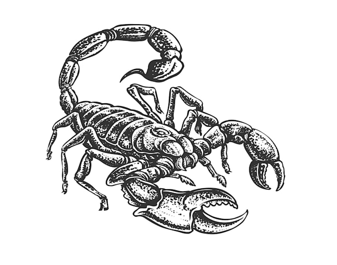 design creative scorpion logo with satisfaction guaranteed
