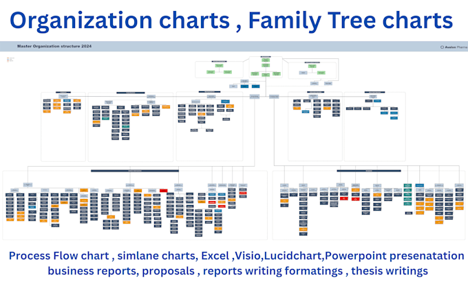 org chart ,process flow , dissertation diagrams, ppt,visio
