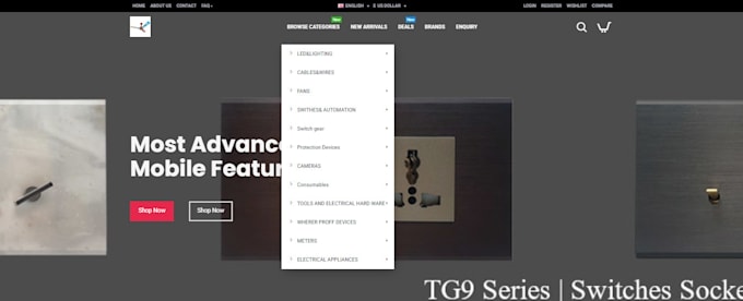 customize web site and ecommerce website