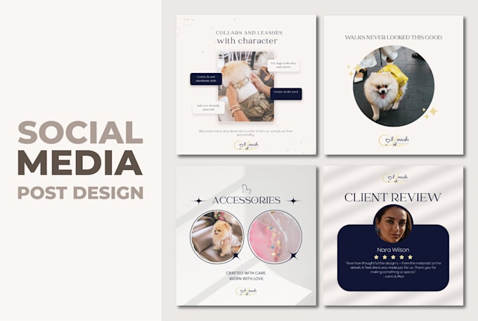 create social media posts, illustrator or canva