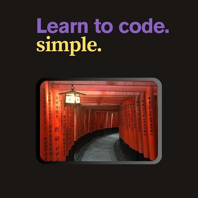 provide online tutoring for computer programming