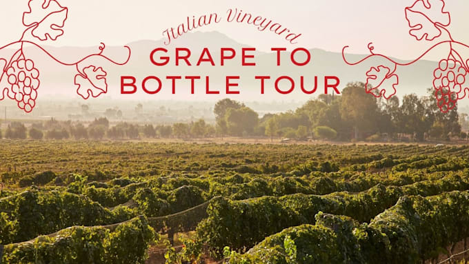 plan the perfect vineyard and wine tasting tour for your destination