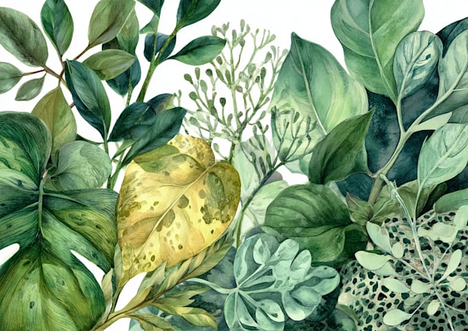 draw watercolor botanical illustrations