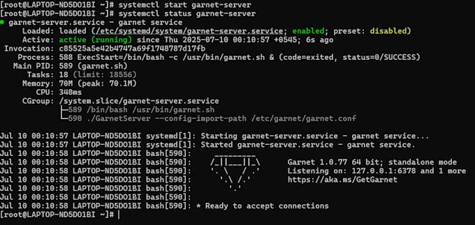 install microsoft garnet server on el