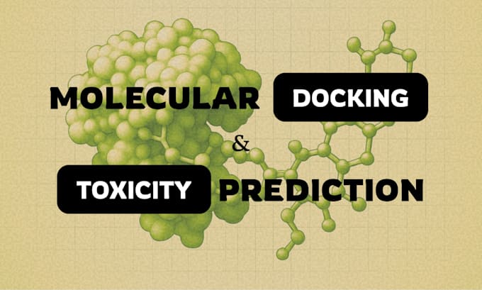 perform molecular docking and computational analysis