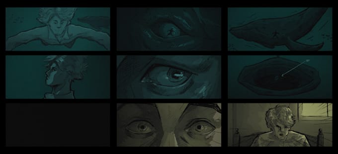 do professional storyboard for advertising or movie