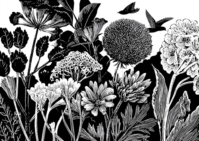 illustrate botanical and linocut vector art