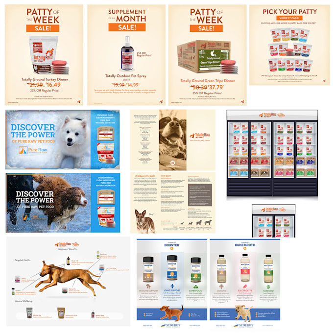 design a professional print poster, brochure or flyer ad