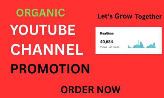 do super fast organic youtube video promotion