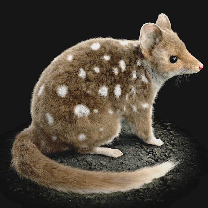 3d animal model realistic fur 3d xgen zbrush model, maya blender model, 3d print
