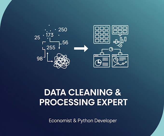 do data processing and cleaning with python