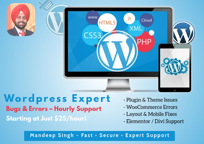 fix wordpress issues, bugs, or errors on an hourly basis