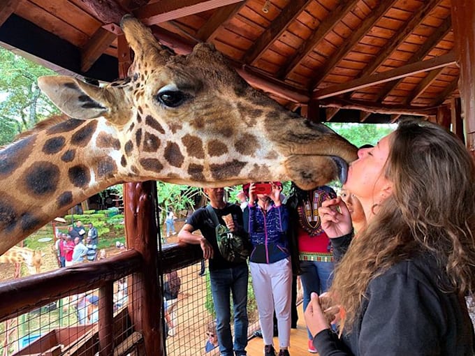 be your tour guide in kenya