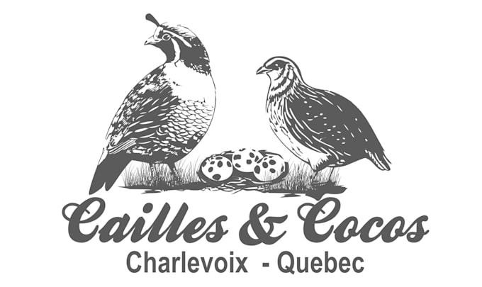 make modern unique quail logo with new creative concepts