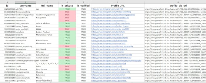 extract instagram followers usernames, full name