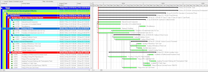 prepare schedule on primavera p6 or ms project