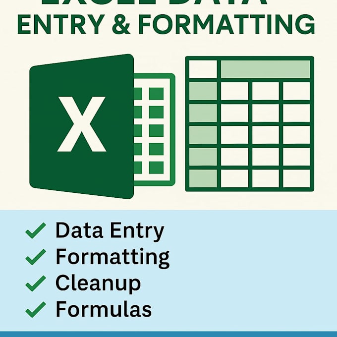 accurate data entry, excel spreadsheet, and data cleaning