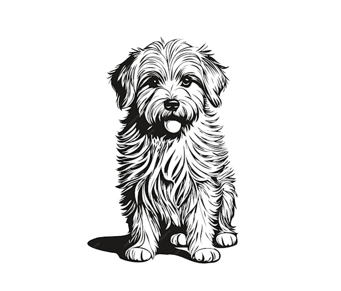 draw freehand digital scribble sketch, line art