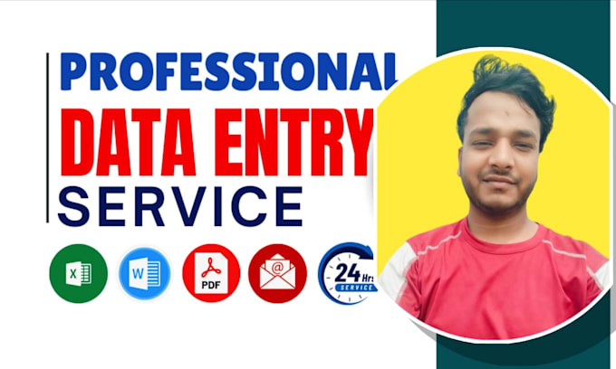 do professionally excel data entry with full accuracy