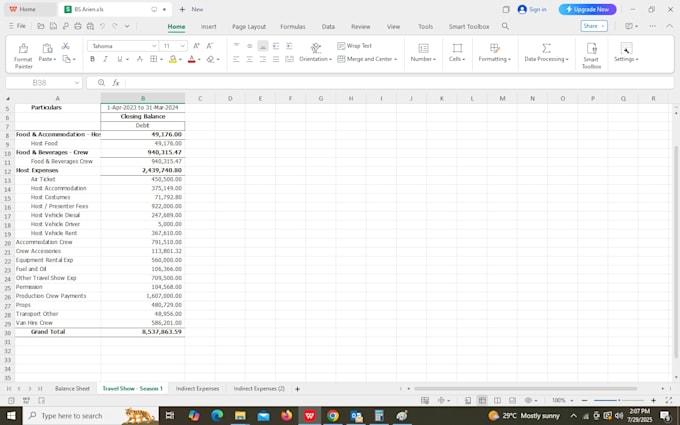 do accurate data entry, bookkeeping in tally
