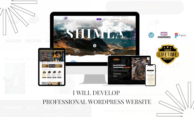 design and develop clean professional wordpress website