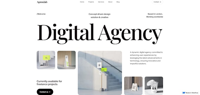 do professional webflow website development