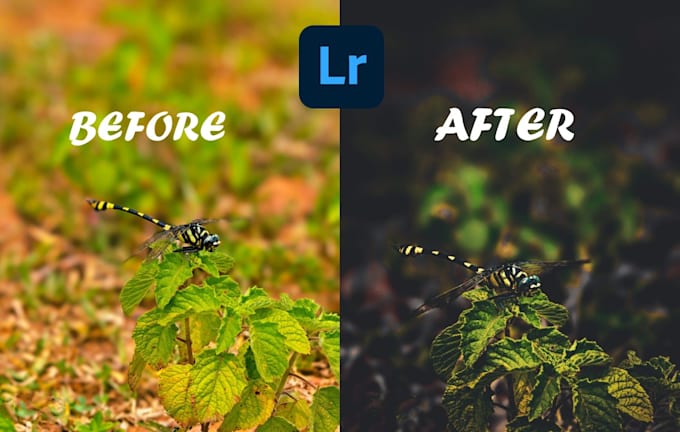 do picture editing as per your need retouching and cinematic