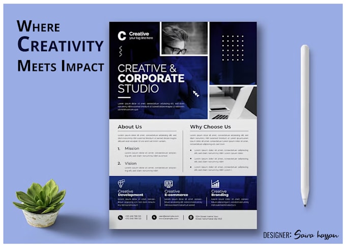 make professional flyer design or brochure design