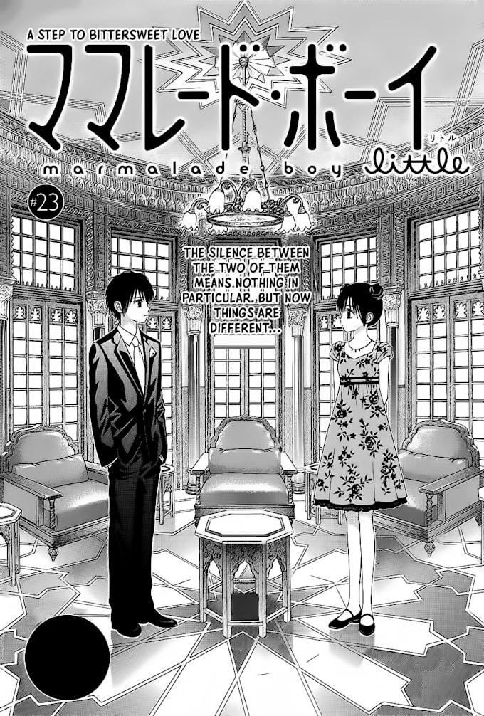 clean and typeset manga, manhua, manhwa panels