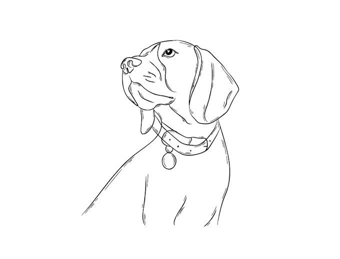doodle semi details line drawing