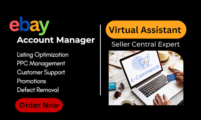 be your ebay account manager virtual assistant PPC manager