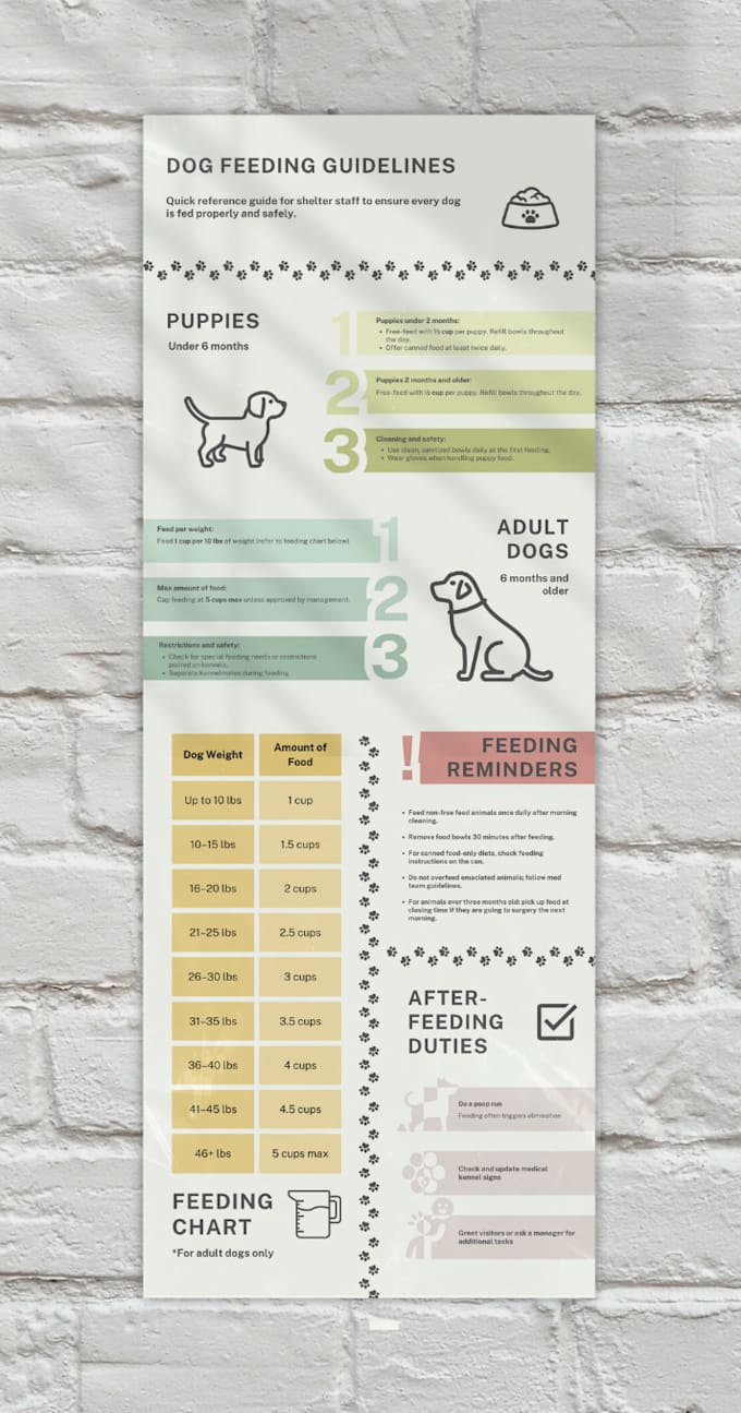 Design instructional visuals like infographics and guides by Graciedowd ...