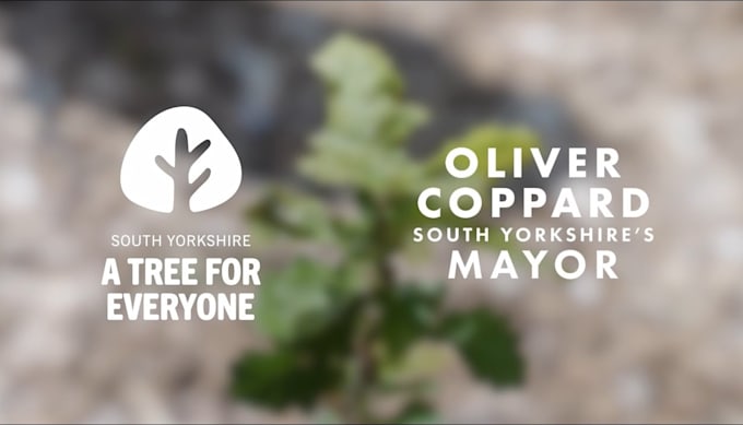 design a minimalist and tree logo